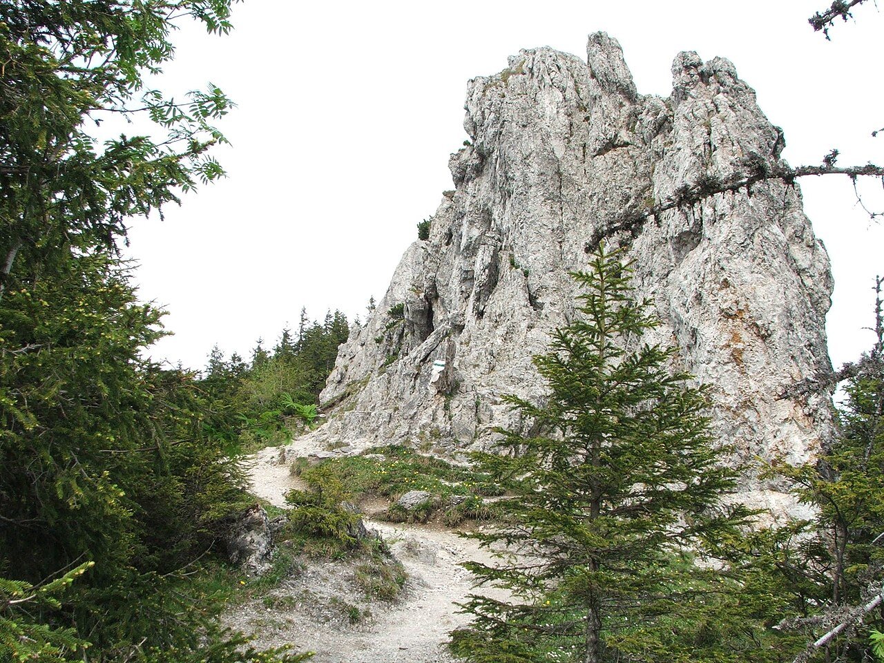 Gęsia Szyja i Polana Rusinowa